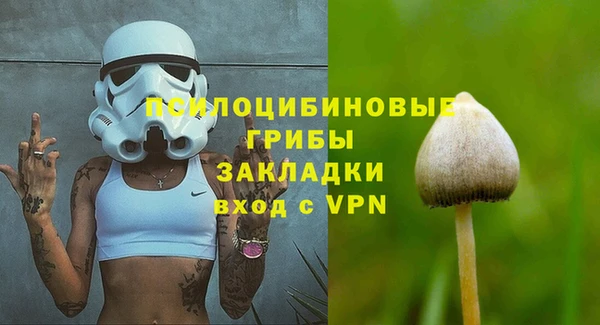 герыч Арсеньев